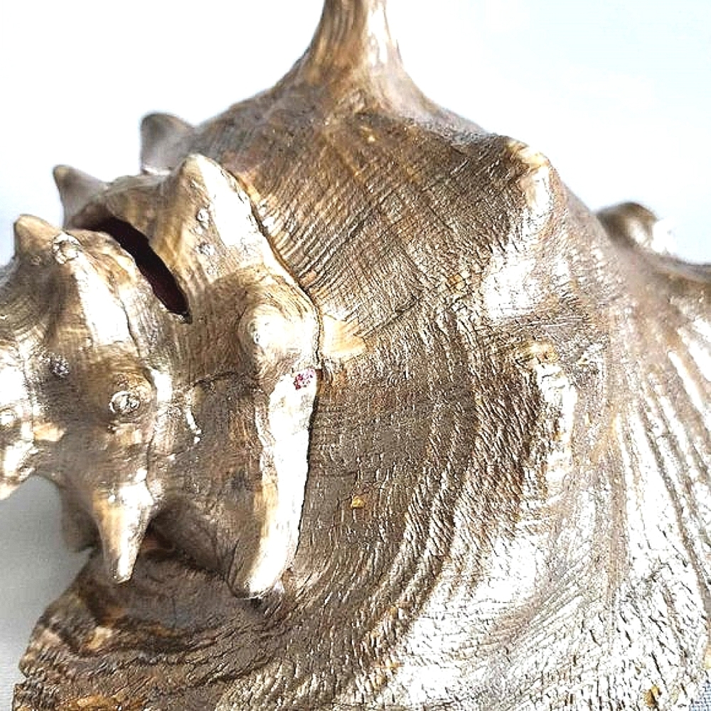 Gold conch shell - Picture 4 of 10